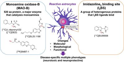 Imaging of Reactive Astrogliosis by Positron Emission Tomography